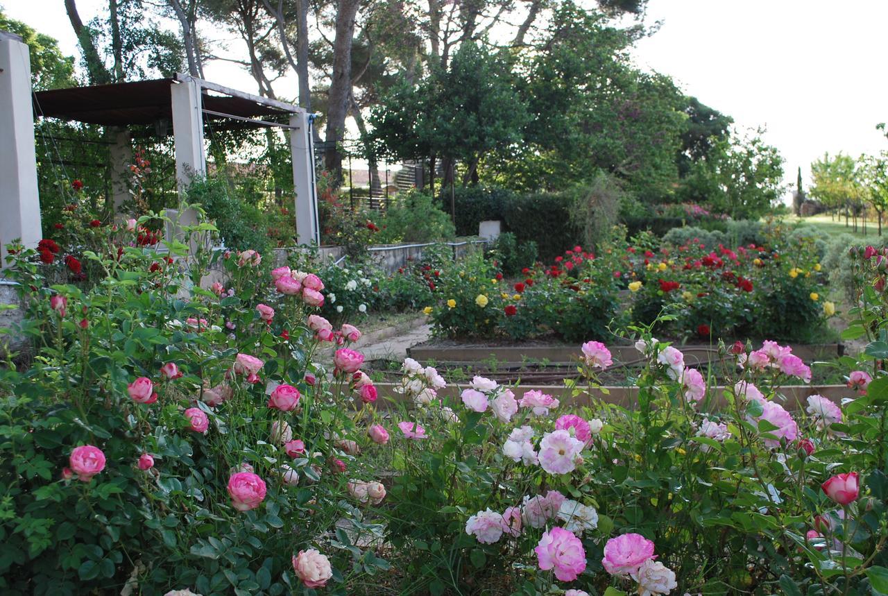 Chateau Sainte Colombe Bed and Breakfast Exterior foto